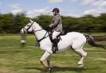 Wanborough Horse and Dog show